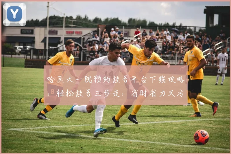 哈医大一院预约挂号平台下载攻略，轻松挂号三步走，省时省力又方便，快来试试看
