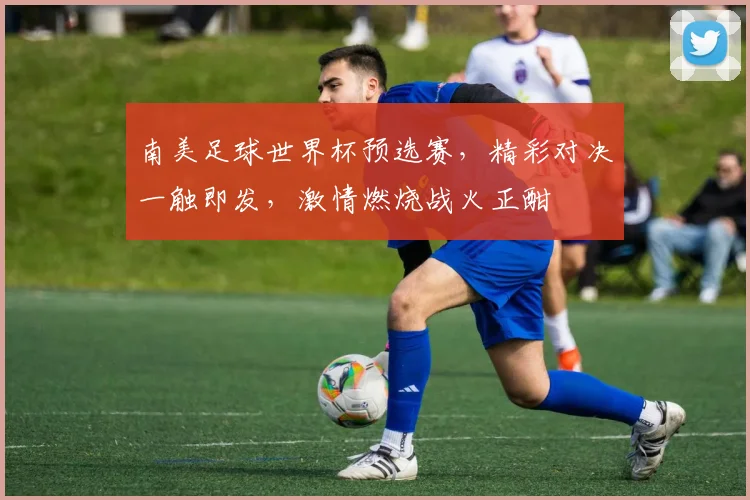 南美足球世界杯预选赛，精彩对决一触即发，激情燃烧战火正酣