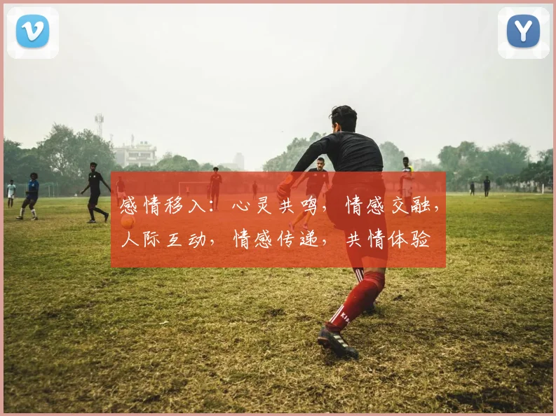 感情移入：心灵共鸣，情感交融，人际互动，情感传递，共情体验